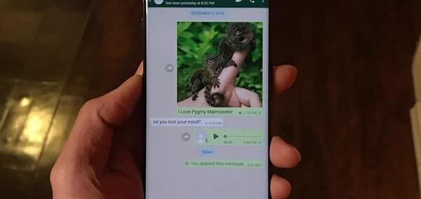 چگونه در واتساپ عکس پروفایل با کیفیت بگذاریم