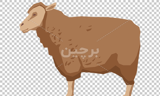 عکس گاو و گوسفند کارتونی