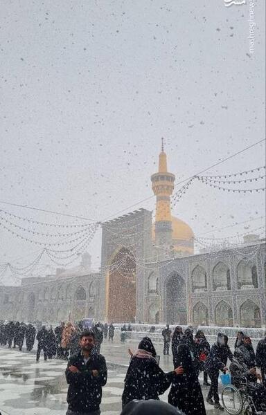 عکس از حرم امام رضا برفی