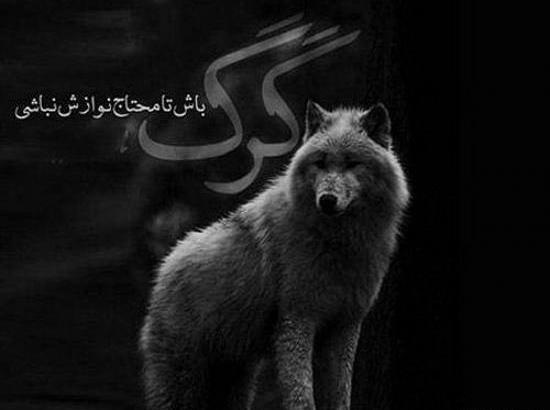 عکس پروفایل پسرانه خفن لاتی خارجی