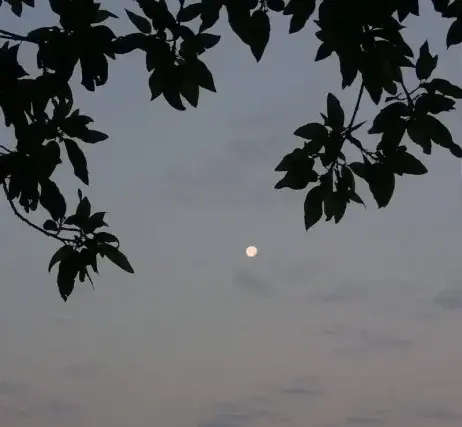 عکس پروفایل ماه و آسمان