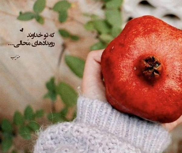 عکس پروفایل جدید شب یلدا
