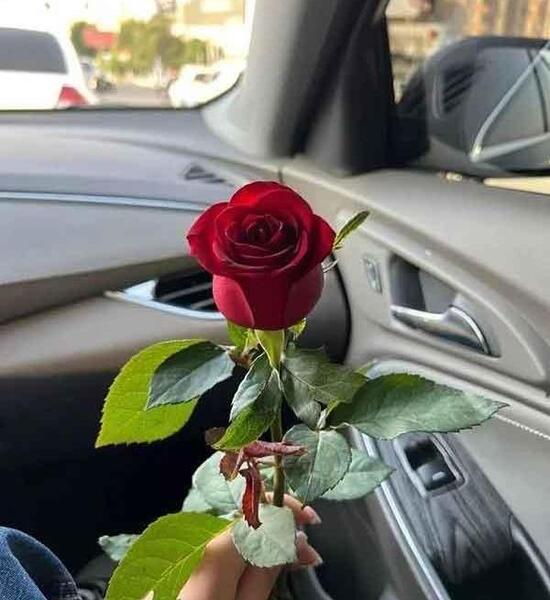 عکس پروفایل جدید امسال مادر