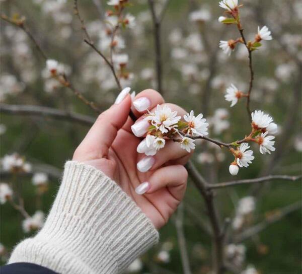 عکس پروفایل جدید دخترانه ۱۴۰۴