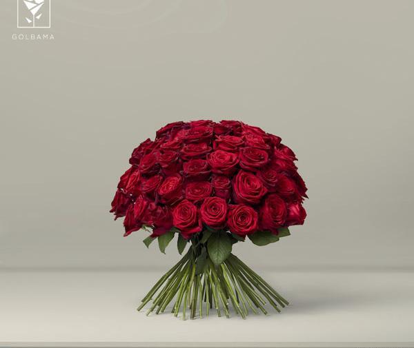 عکس زیبا از گل سرخ