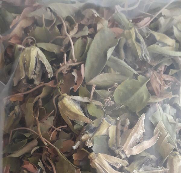 عکس گل ساعتی خشک شده