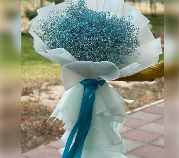 عکس دسته گل ژیپسوفیلا سفید