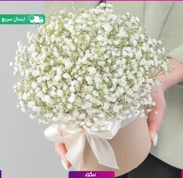 عکس دسته گل ژیپسوفیلا سفید