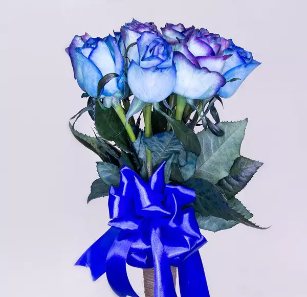 عکس گل ابی برای پروفایل