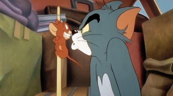 عکس گربه سفید در تام و جری