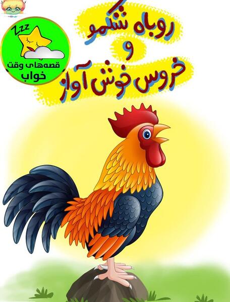 عکس مرغ تو رابین هود