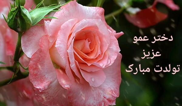 عکس تبریک روز معلم به دختر عمو