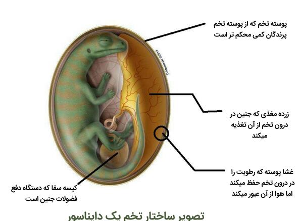 عکس نوشته آنچه توانسته ایم لطف خدا بوده است