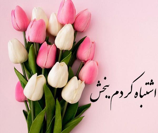 عکس نوشته ی معذرت خواهی عاشقانه