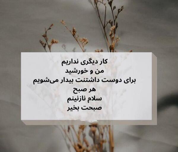 عکس نوشته صبح بخیر استوری