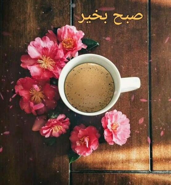 عکس نوشته صبح بخیر استوری