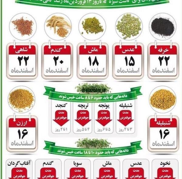 عکس انواع سبزه ها