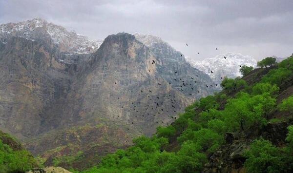 عکس سبزکوه چهارمحال و بختیاری