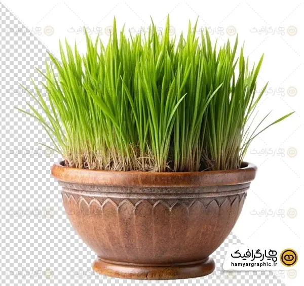 عکس فیک سبزه عید