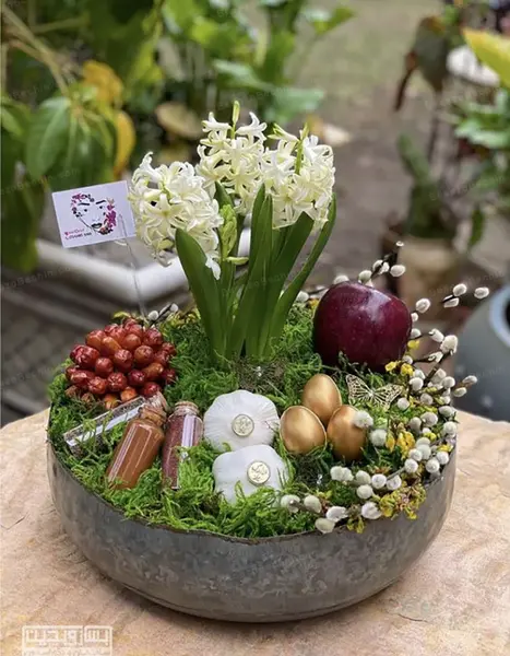 عکس سبزه سفره هفت سین کودکانه