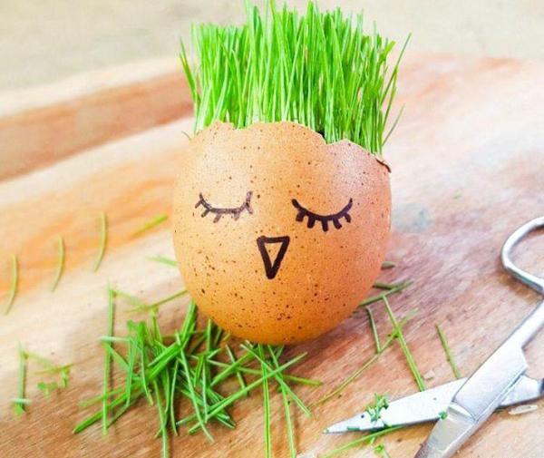 عکس یک سبزه زیبا