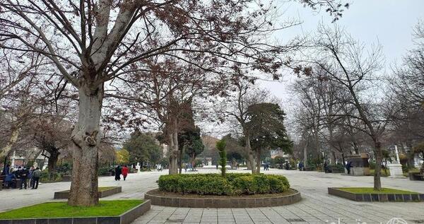عکس از سبزه میدان رشت