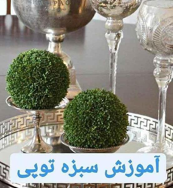 عکس سبزه تخمه شربتی روی کوزه
