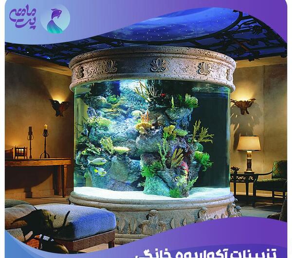 عکس سبزه آکواریومی