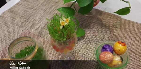 عکس سبزه ارزن برای عید