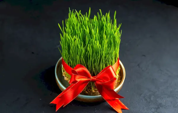 عکس سبزه ارزن برای عید