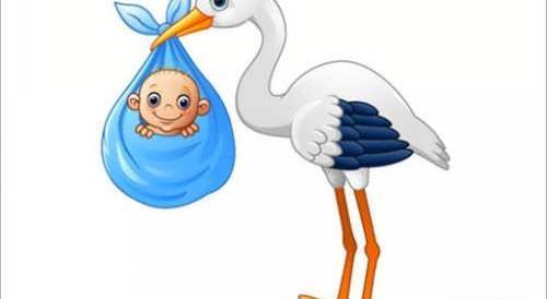 عکس لک لک برای نقاشی