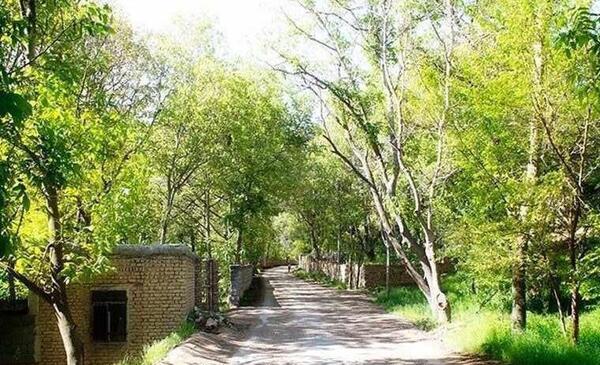 عکس پاریس کوچولو ایران