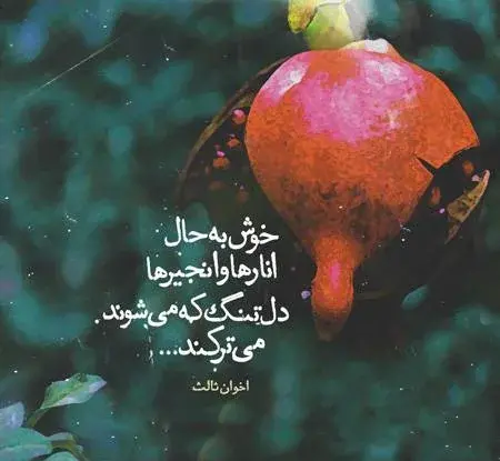عکس نوشته زیبا از زندگی