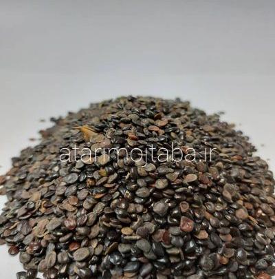 عکس گیاه چشم خروس