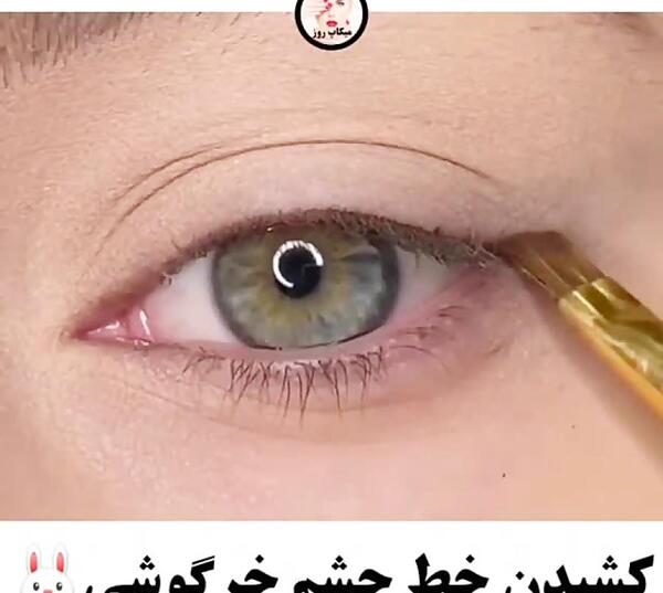 عکس چشم خرگوشی