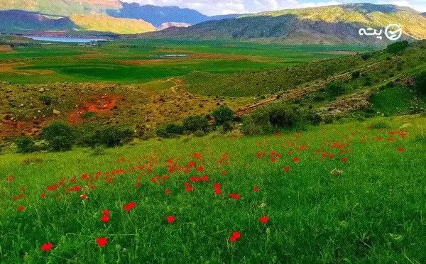 عکس کوه سفید کرمانشاه