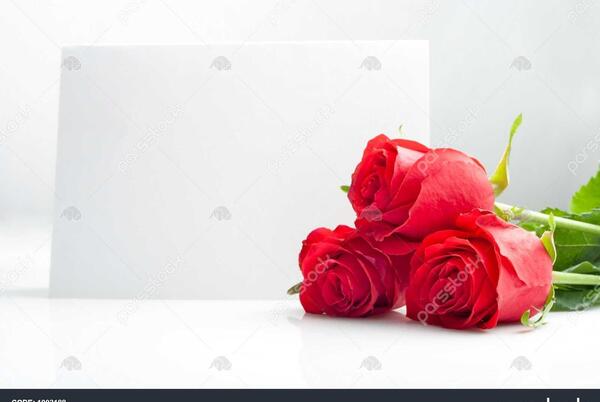 عکس صفحه سفید گل دار