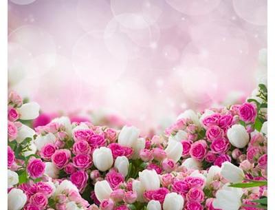 عکس صفحه سفید گل دار