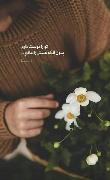 عکس شهر زیبا برای پروفایل