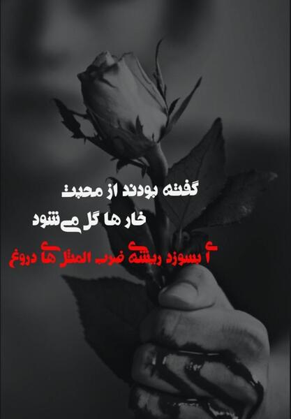 عکس پروفایل هر رنگی زیباست جز دورنگی