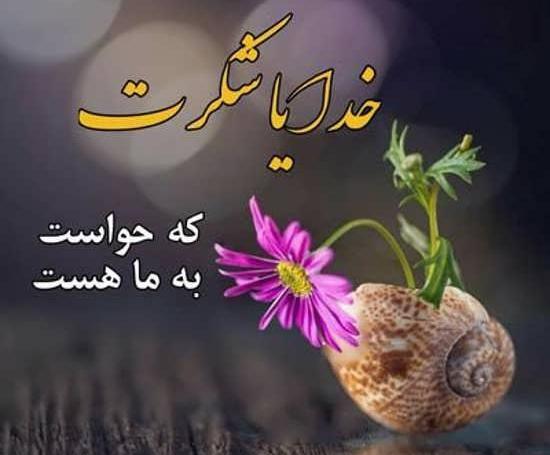 عکس نوشته ی شکر خدا