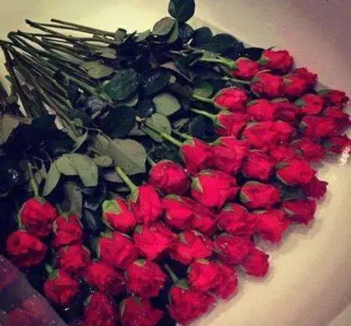 عکس داداشای گلم روزتون مبارک