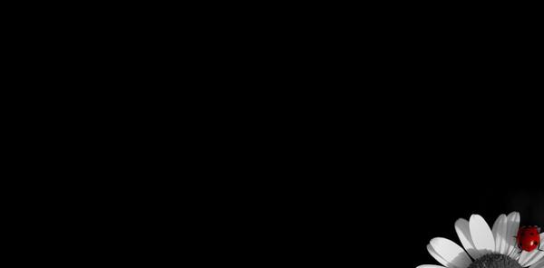 عکس ص مشکی ساده