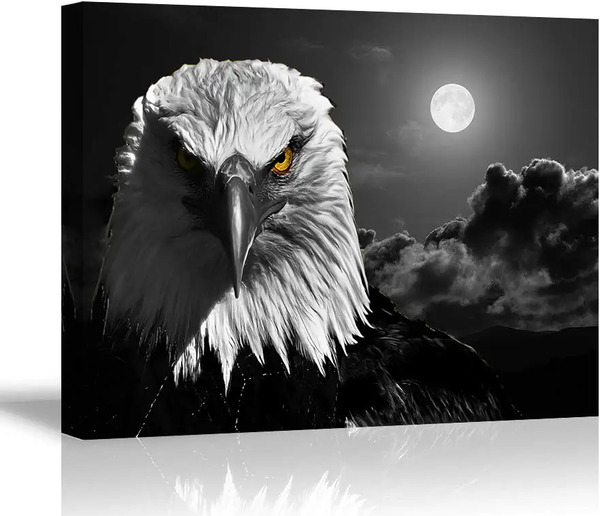 عکس شاهین مشکی و سفید