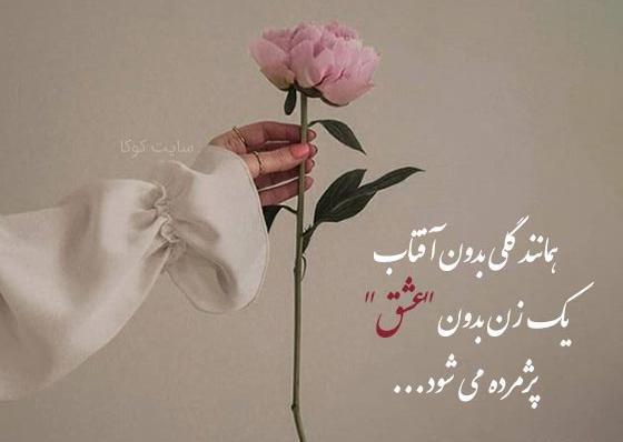 عکس گل پرپر شده غمگین