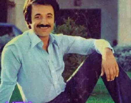 اهنگ قدیمی عکس گل امیدم افتاده بود تو برکه