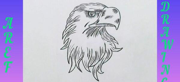 عکس نقاشی عقاب راحت