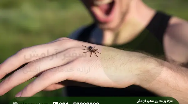 عکس از جای نیش عنکبوت