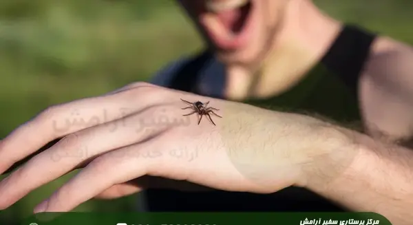 عکس جای گزیدگی عنکبوت