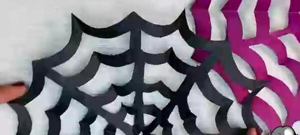 عکس تار عنکبوت کیوت